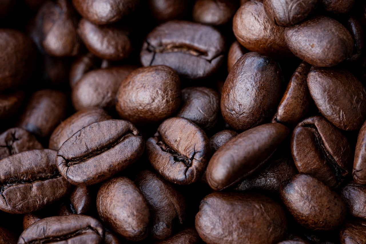 Serendipitas - Roaster's Choice
