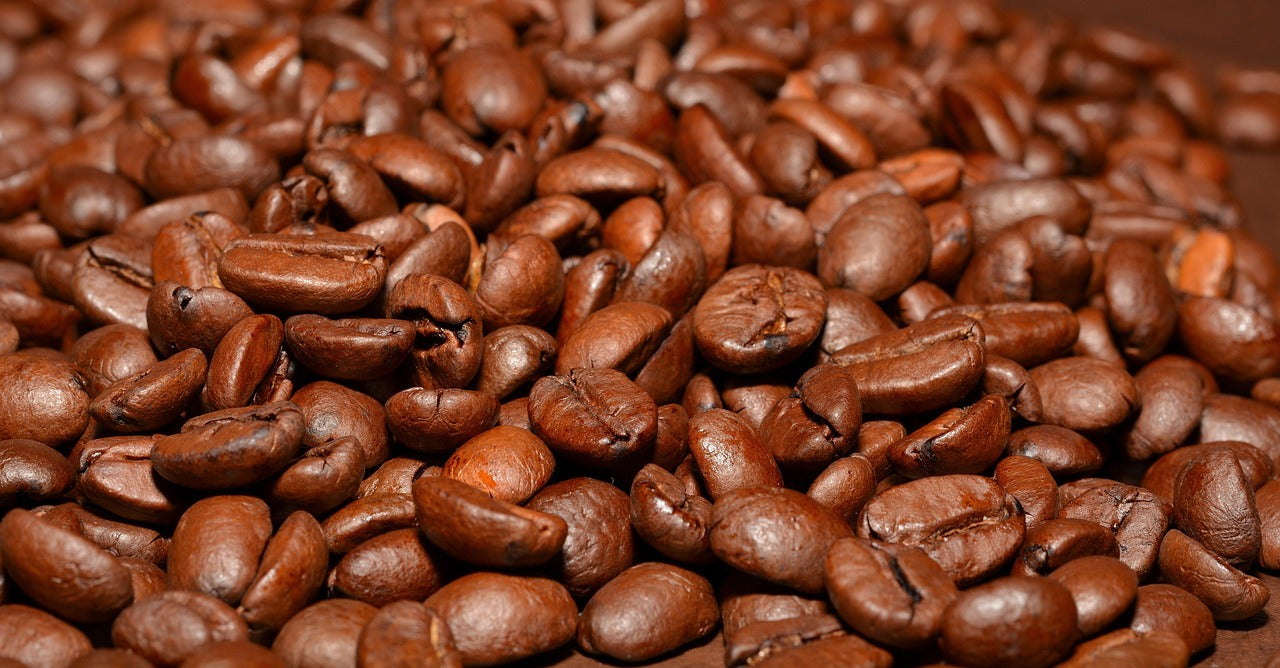 Coffee of the Month: Montis Lunae (Ugandan)