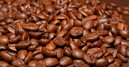 Nectaris Sapientiae - Mexican (Medium Roast)